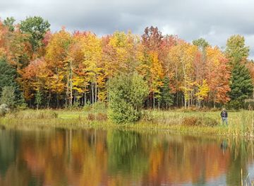 canada/eastern-townships/attraction/domaine-des-nobles-alpagas