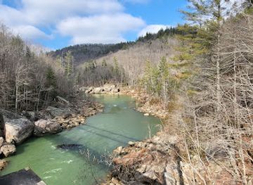 kentucky/big-south-fork-national-river-and-recreation-area/attraction/o-w-bridge