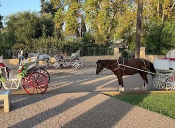morocco/fes/ville-nouvelle/attraction/horse-and-carriage