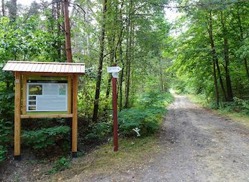 poland/roztocze-national-park/attraction/sciezka-poznawcza-na-piaseczna-gore