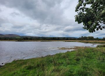 united-kingdom/dunbartonshire/attraction/rspb-scotland-loch-lomond
