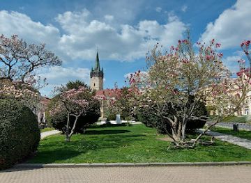 slovakia/presov/attraction/presovske-magnolie