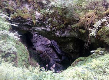 romania/bihor-mountains/attraction/avenul-negru