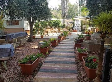 israel/jaffa/attraction/ella-valley-winery