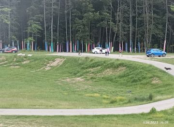 romania/valcea/attraction/padurea-colorata-din-rm-valcea