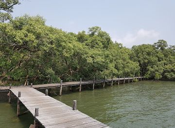 thailand/rayong/klaeng/attraction/thung-prong-thong-golden-meadow
