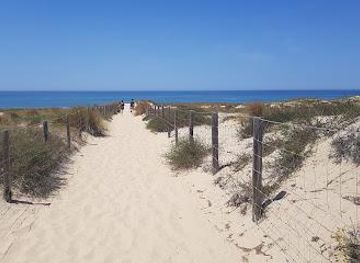 france/bordeaux/attraction/arcachon-bay