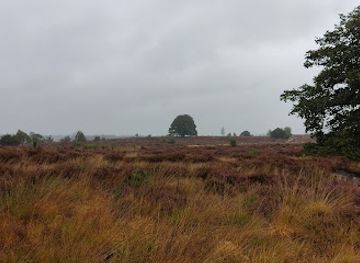 netherlands/sallandse-heuvelrug-national-park/attraction/sallandse-heuvelrug