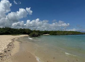 ecuador/puerto-ayora/attraction/playa-los-alemanes
