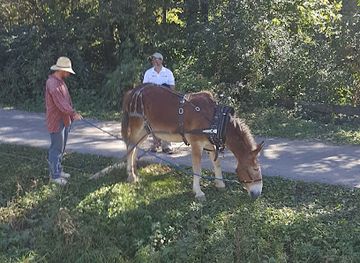 illinois/matthiessen-state-park/attraction/starved-rock-country-welcome-center-an-illinois-made-gift-shoppe-heritage-corridor-destinations