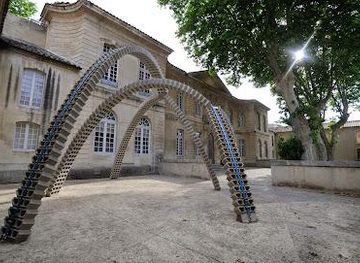 france/camargue/attraction/collection-lambert-avignon