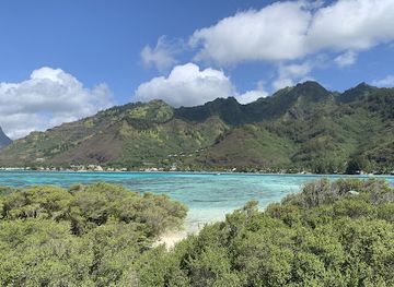french-polynesia/moorea/attraction/captain-taina-turtle-club