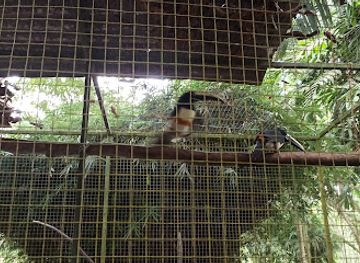 suriname/lelydorp/attraction/suriname-bird-paradise