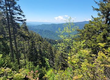 tennessee/great-smoky-mountains/attraction/mt-le-conte