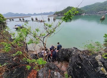 vietnam/cat-ba-island/attraction/mieu-quan-doi