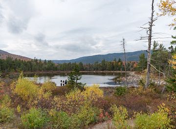 new-hampshire/lakes-region/attraction/lily-pond