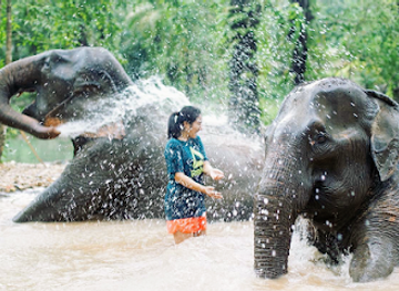 thailand/western-thailand/attraction/the-elephant-sanctuary-krabi-thailand
