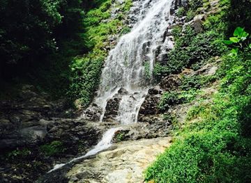 australia/new-england/attraction/red-cedar-falls