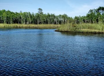 alabama/alabama-coastal-birding-trail/attraction/grand-bay-national-wildlife-refuge