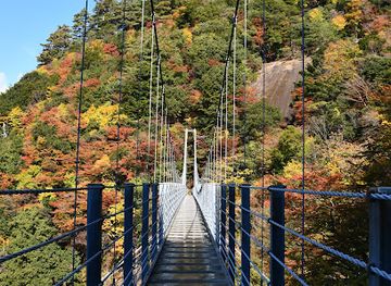 japan/kyushu/attraction/hakusui-falls-suspension-footbridge