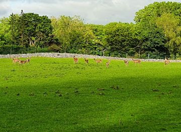 ireland/county-limerick/attraction/stonehall-visitor-farm