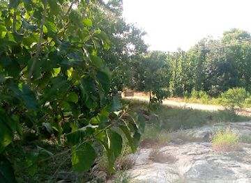 ghana/mole-national-park/attraction/ambalara-forest-reserve