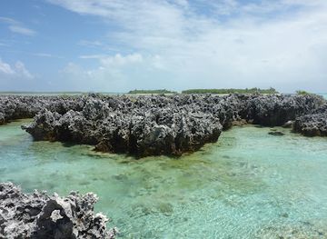 french-polynesia/rangiroa/attraction/the-reef-island