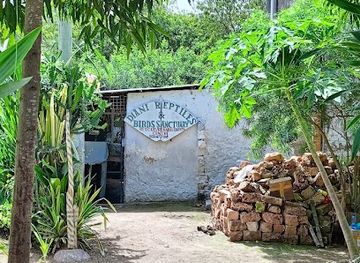 kenya/diani-beach/attraction/diani-reptiles-snake-park