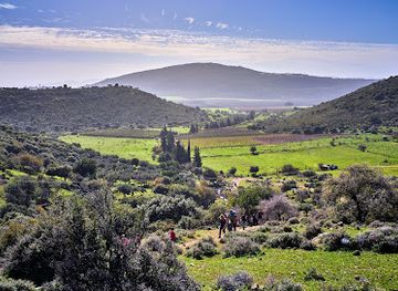 israel/galilee-region/attraction/parod-falls