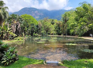 brazil/zona-da-mata/attraction/botanical-garden-of-rio-de-janeiro