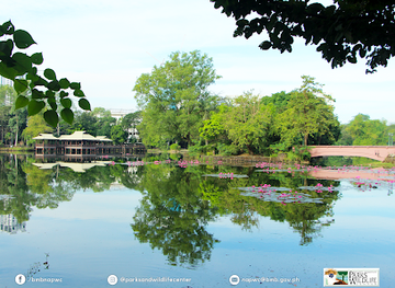 philippines/national-capital-region-ncr/attraction/ninoy-aquino-parks-and-wildlife-center