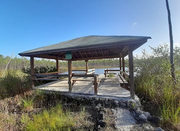 the-bahamas/andros-town/attraction/cousteau-s-blue-hole