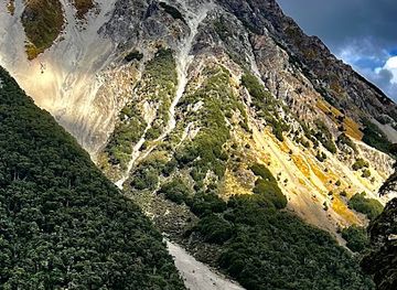 new-zealand/canterbury/attraction/basins-hut