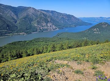 washington/columbia-river-gorge/attraction/dog-mountain-trail