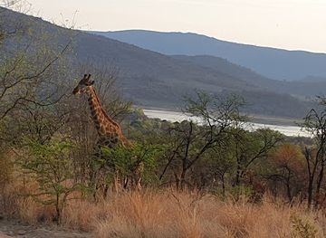 south-africa/pilanesberg-national-park/attraction/mankwe-dam