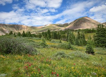 colorado/northern-colorado/attraction/butler-gulch-trailhead
