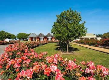 australia/adelaide/attraction/richard-hamilton-wines