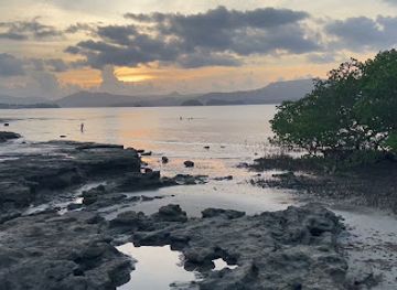 mayotte/plage-de-moya/attraction/plage-des-badamiers