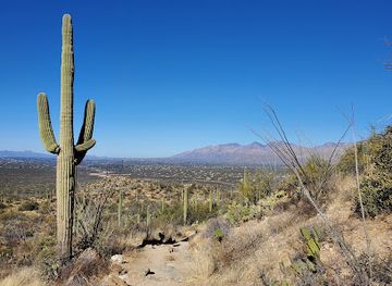 arizona/saguaro-national-park/attraction/douglas-spring-trailhead