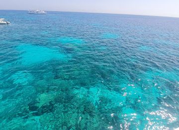 egypt/red-sea-coast/attraction/snorkling-spot