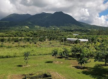 St. Kitts Eco-Park