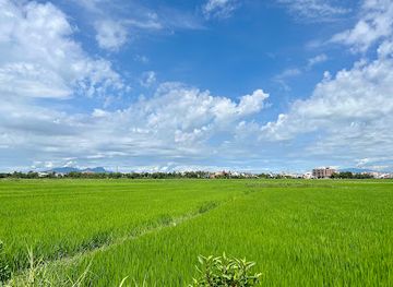vietnam/southeast/attraction/rice-fields