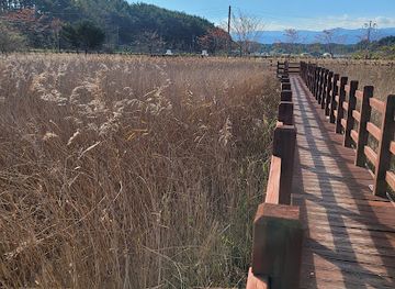 south-korea/gangneung-coastal-areas/attraction/hyangho