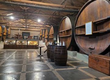 argentina/mendoza/attraction/bodega-la-rural-museo-del-vino-san-felipe
