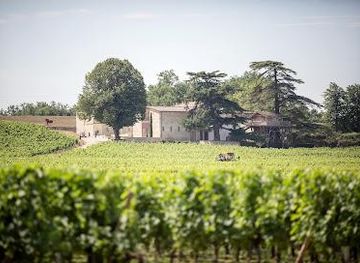 france/bordeaux/attraction/chateau-franc-mayne