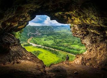 puerto-rico/dorado/attraction/bosque-estatal-de-rio-abajo