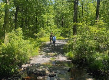 pennsylvania/delaware-water-gap-national-recreation-area/attraction/delaware-state-forest