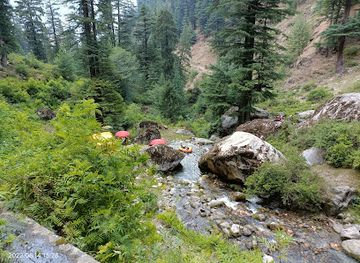 india/himachal-pradesh/attraction/sajla-waterfall
