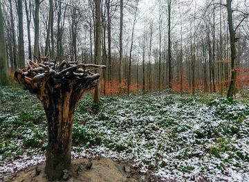 belgium/louvain-la-neuve/attraction/bois-de-lauzelle