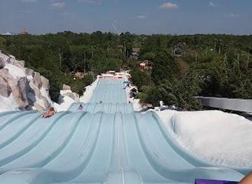 florida/orlando/attraction/toboggan-racers